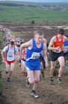 Click on thumbnail for larger photo